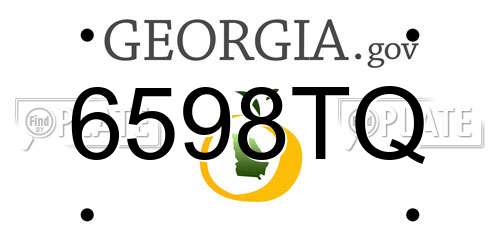 6598TQ Georgia License Plate