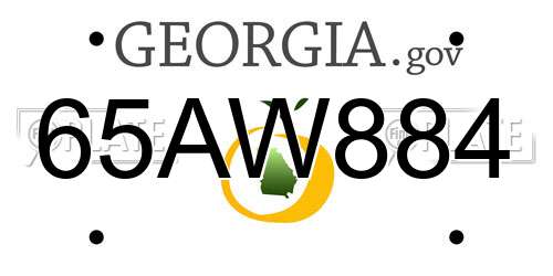 65AW884 Georgia License Plate