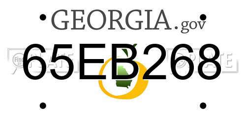65EB268 Georgia License Plate