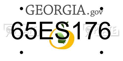 65ES176 Georgia License Plate