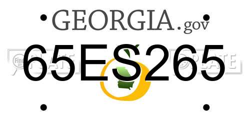 65ES265 Georgia License Plate