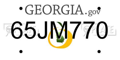 65JM770 Georgia License Plate