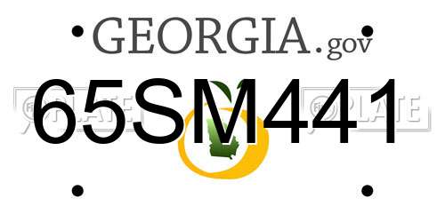 65SM441 Georgia License Plate