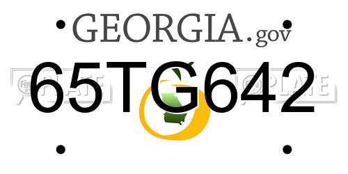 65TG642 Georgia License Plate
