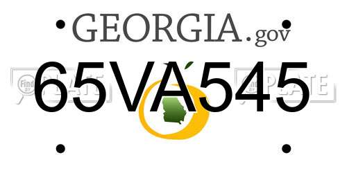 65VA545 Georgia License Plate