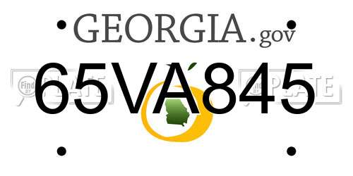 65VA845 Georgia License Plate