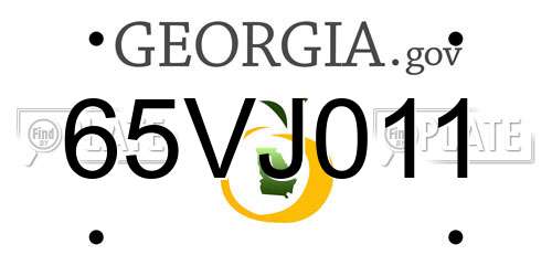 65VJ011 Georgia License Plate