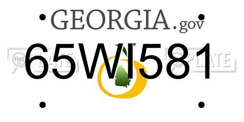 65WI581 Georgia License Plate