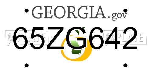 65ZG642 Georgia License Plate