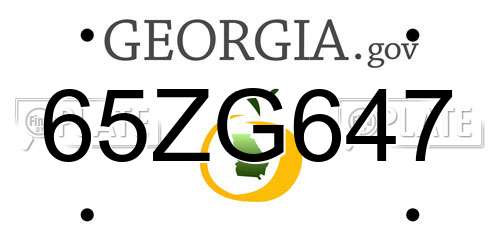 65ZG647 Georgia License Plate