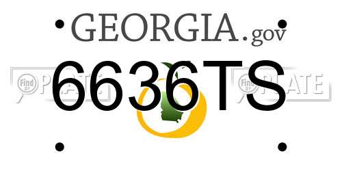 6636TS Georgia License Plate