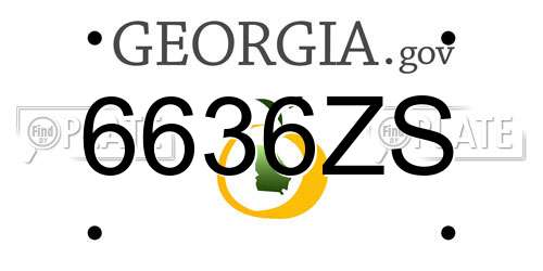 6636ZS Georgia License Plate