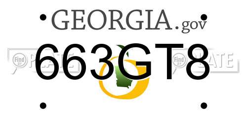 663GT8 Georgia License Plate