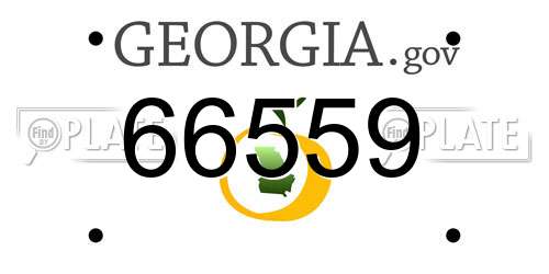 66559 Georgia License Plate