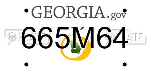 665M64 Georgia License Plate