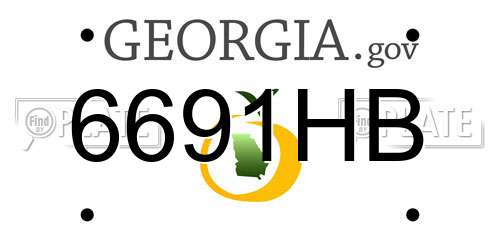 6691HB Georgia License Plate