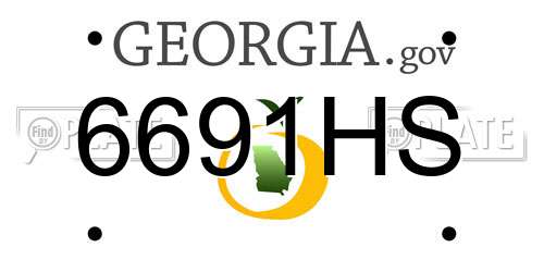 6691HS Georgia License Plate