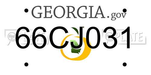 66CJ031 Georgia License Plate