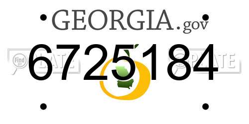 6725184 Georgia License Plate