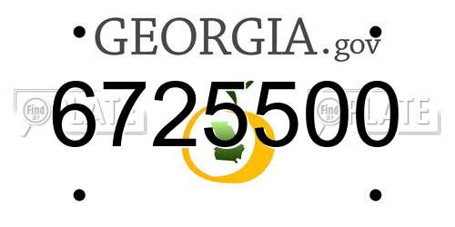 6725500 Georgia License Plate