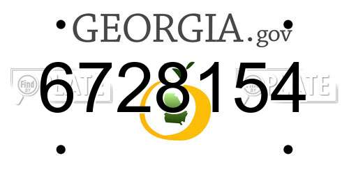 6728154 Georgia License Plate
