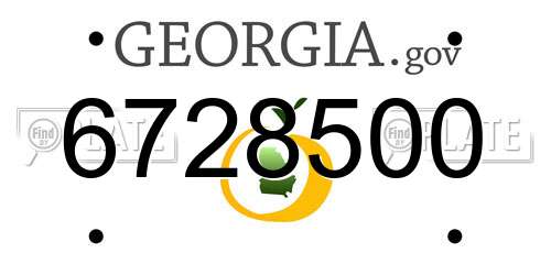 6728500 Georgia License Plate