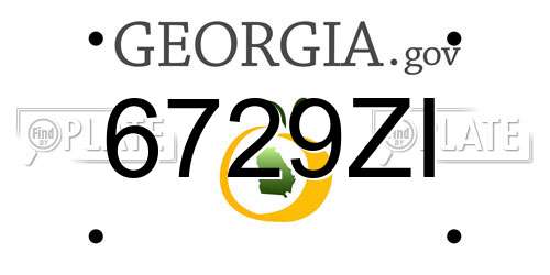 6729ZI Georgia License Plate