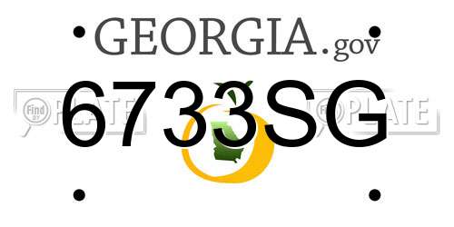 6733SG Georgia License Plate