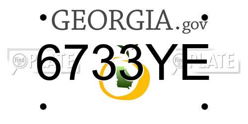 6733YE Georgia License Plate
