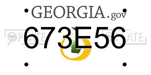 673E56 Georgia License Plate