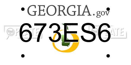 673ES6 Georgia License Plate