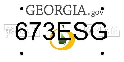 673ESG Georgia License Plate