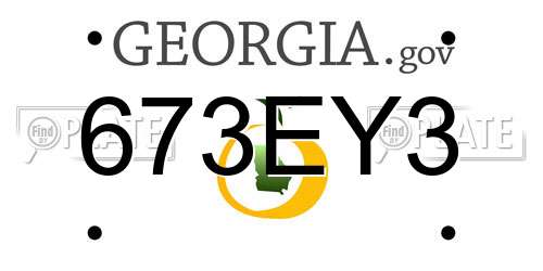 673EY3 Georgia License Plate