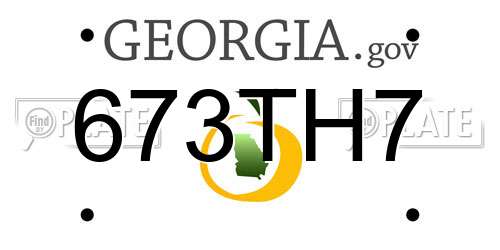 673TH7 Georgia License Plate