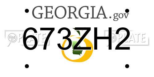 673ZH2 Georgia License Plate