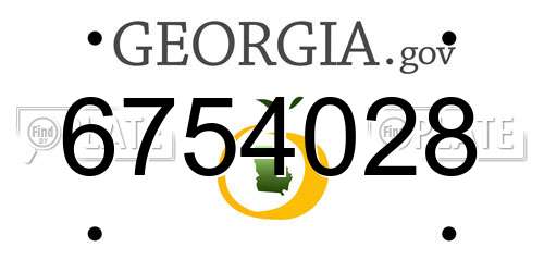 6754028 Georgia License Plate