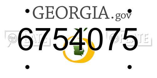 6754075 Georgia License Plate