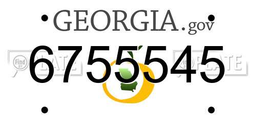 6755545 Georgia License Plate