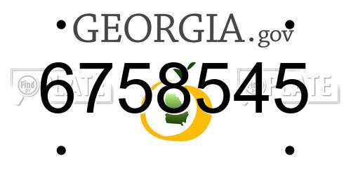 6758545 Georgia License Plate