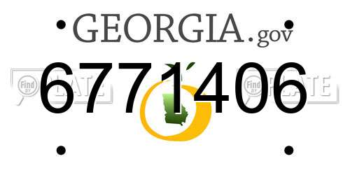6771406 Georgia License Plate