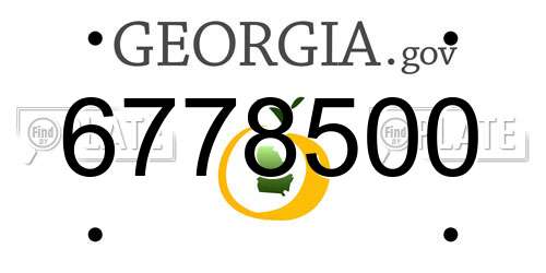 6778500 Georgia License Plate