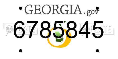 6785845 Georgia License Plate