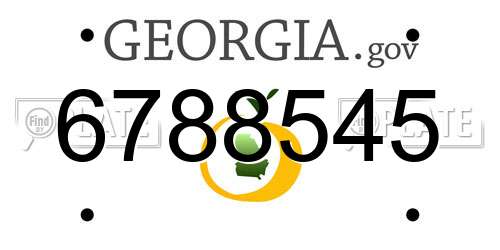 6788545 Georgia License Plate