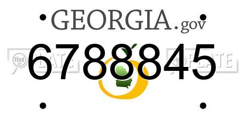 6788845 Georgia License Plate
