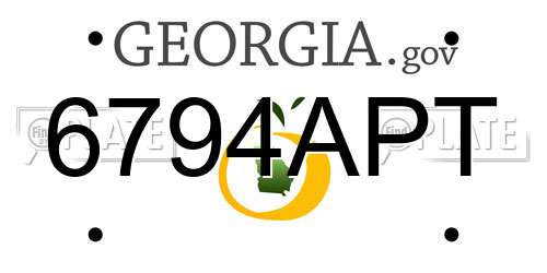 6794APT Georgia License Plate