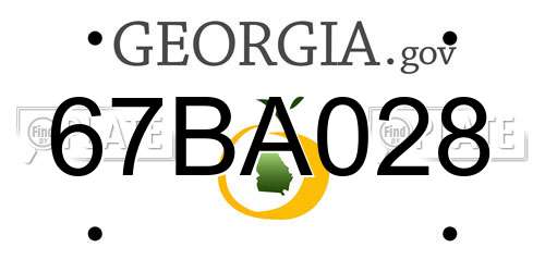 67BA028 Georgia License Plate