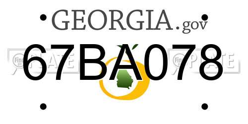 67BA078 Georgia License Plate