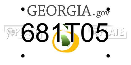 681T05 Georgia License Plate