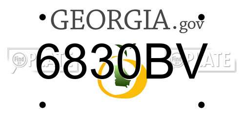 6830BV Georgia License Plate