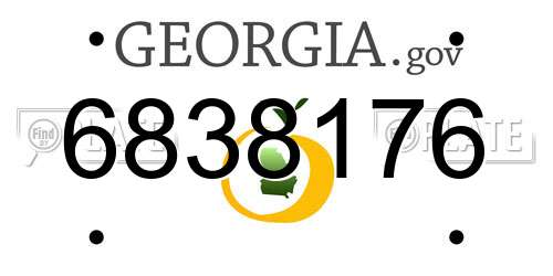 6838176 Georgia License Plate